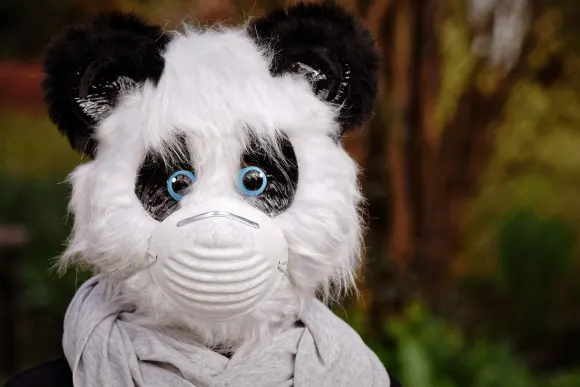 スピンシェイク カジノ サポート